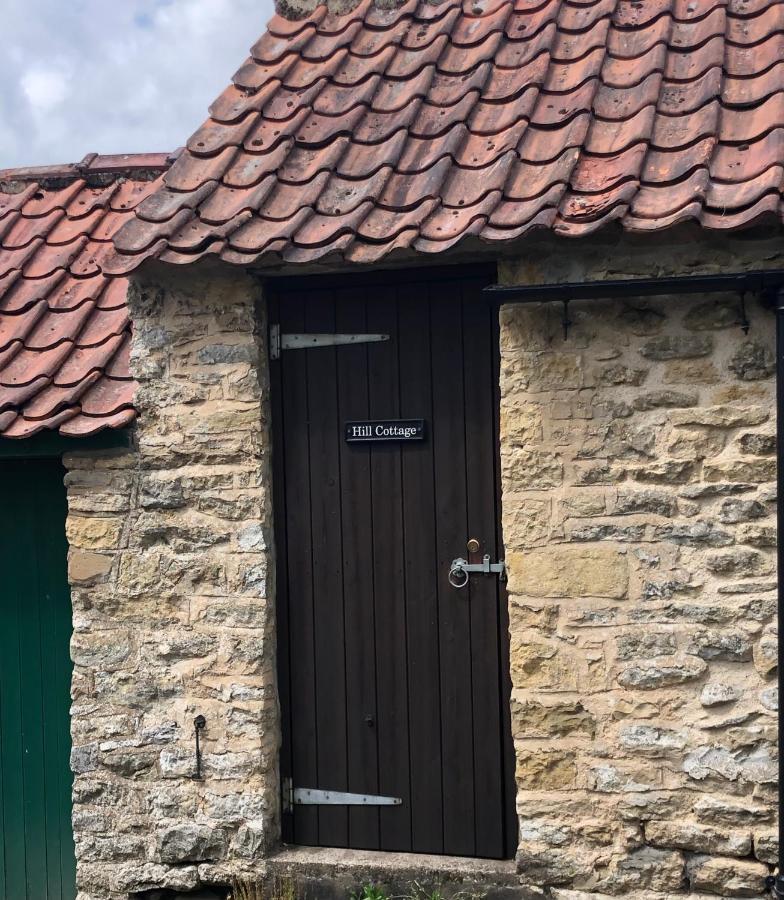 Hill Cottage, Thornton-Le-Dale Торнтон-Дейл Экстерьер фото